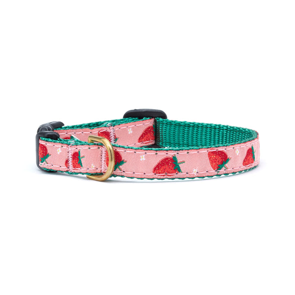 Up Country Strawberry Fields Small Breed Dog Collar