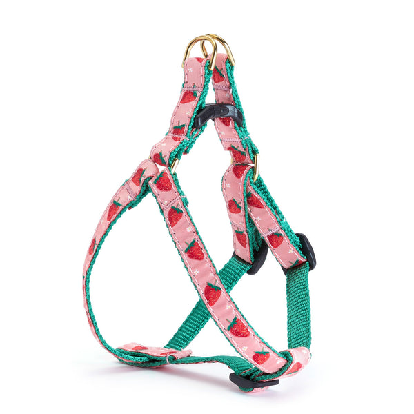 Up Country Strawberry Fields Small Breed Dog Harness