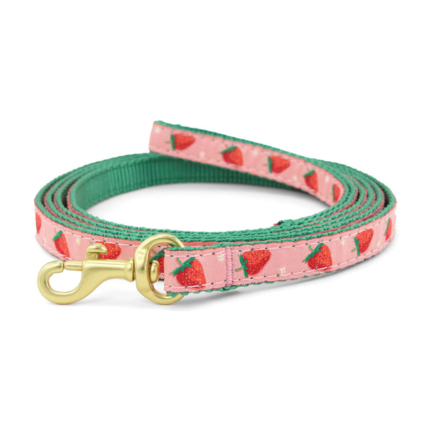 Up Country Strawberry Fields Small Breed Dog Lead