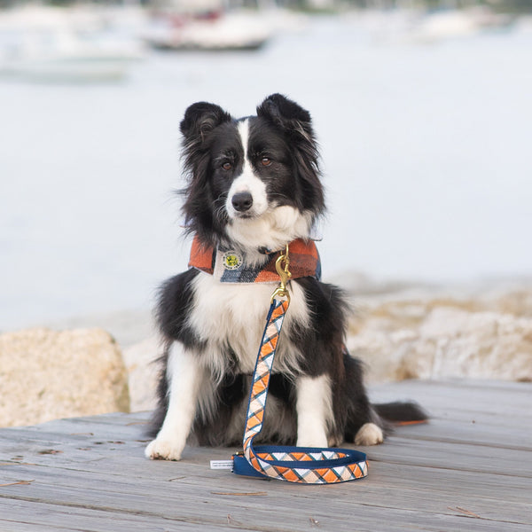 Up Country Terracotta Plaid Dog Lead