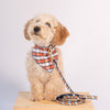Up Country Terracotta Plaid Bandana