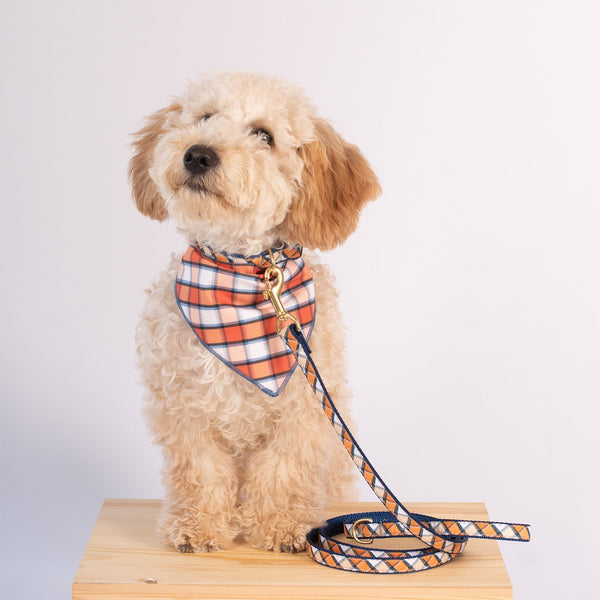 Up Country Terracotta Plaid Bandana