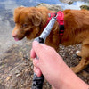 Rocky Mountain Dog The Wild Tactical Dog Leash