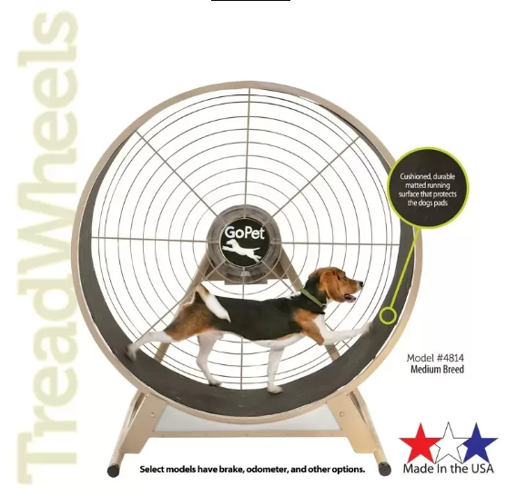 GoPet Large Breed Dog Treadwheel