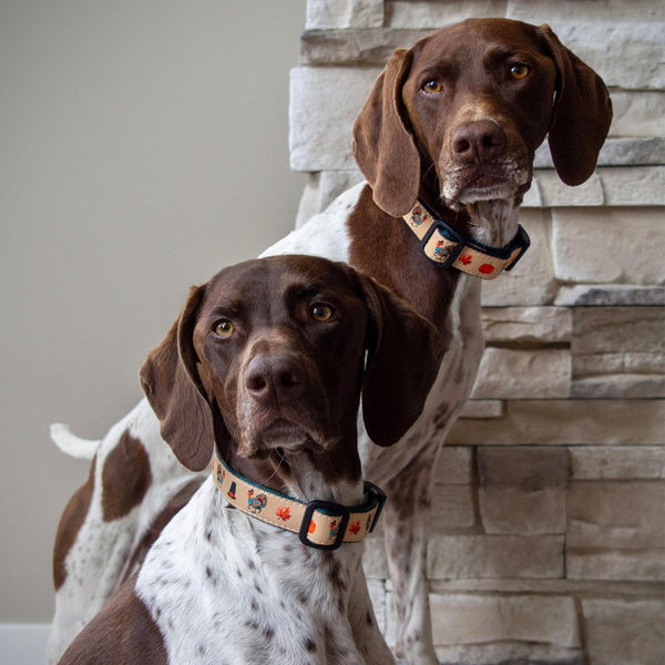 Up Country Turkey Trot Dog Collar