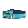 Up Country Sea Turtle Dog Collar