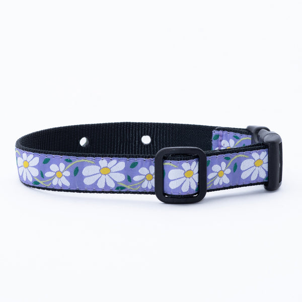 Up Country Underground Fence Dog Collar - Daisy