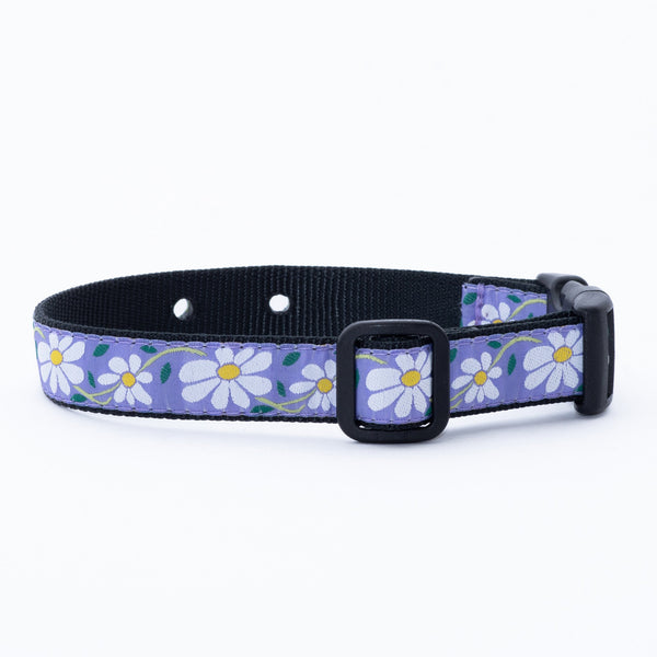 Up Country Underground Fence Dog Collar - Daisy