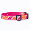 Up Country Underground Fence Dog Collar - Flower Power