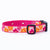 Up Country Underground Fence Dog Collar - Flower Power
