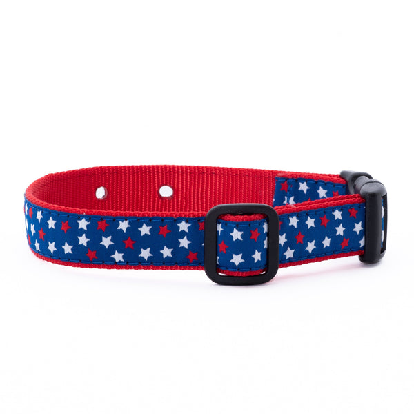 Up Country Underground Fence Dog Collar - New Stars