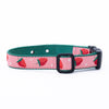 Up Country Underground Fence Dog Collar - Strawberry Fields