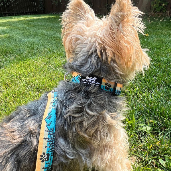 Rocky Mountain Dog Paw Mountain Dog Collar