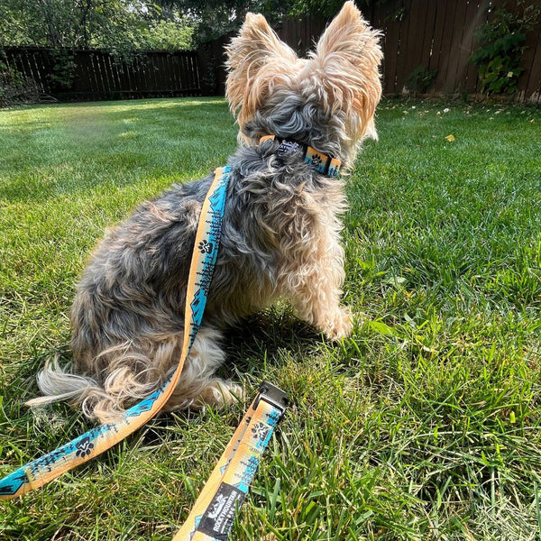 Rocky Mountain Dog Paw Mountain Dog Leash