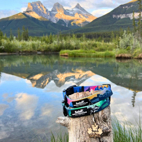 Rocky Mountain Dog V2 Canmore Alpine Dog Collar