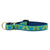 Up Country Whale Martingale Dog Collar