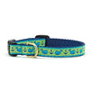 Up Country Whale Small Breed Dog Collar