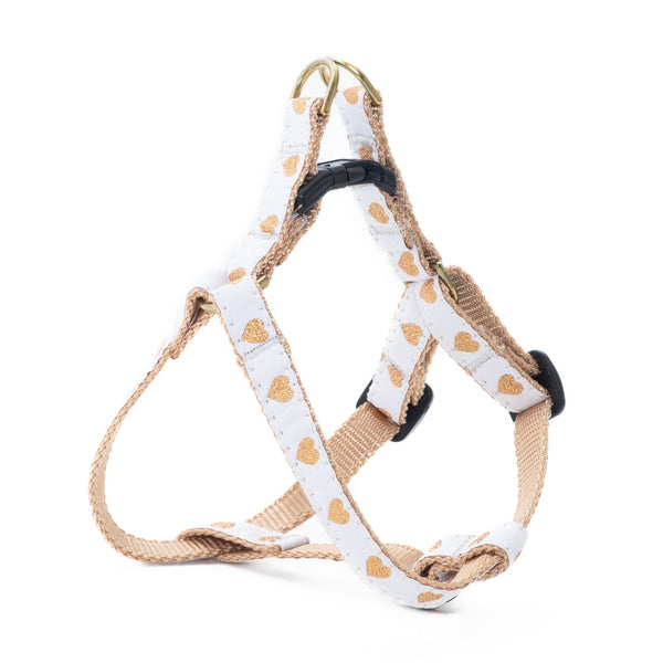 Up Country White Heart of Gold Small Breed Dog Harness