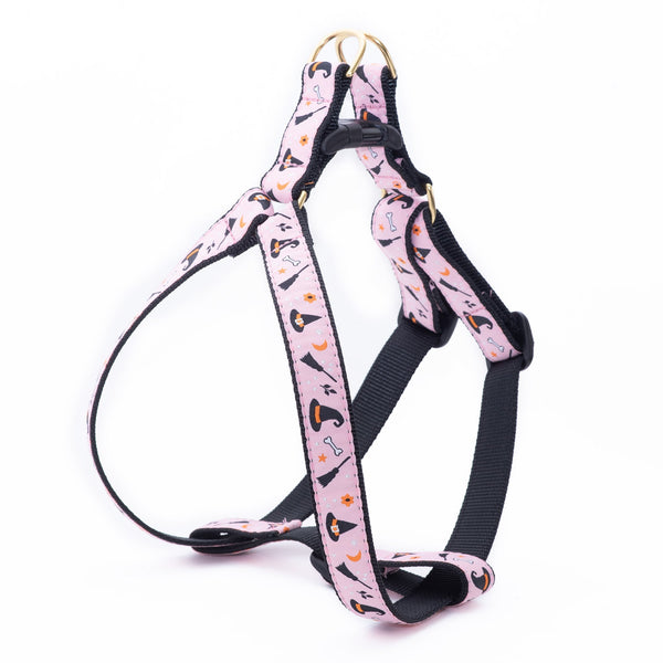 Up Country Witchy Dog Harness