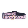 Up Country Witchy Small Breed Dog Collar