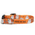 Up Country You're My Boo Printed Dog Collar - Option A | Words