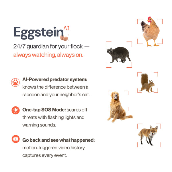 The Smart Coop Smart CoopCam