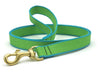 Up Country Color Market Dog Lead