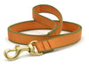 Up Country Color Market Dog Lead