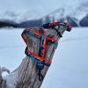 Rocky Mountain Dog Banff All Mountain Dog Leash