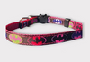 Rocky Mountain Hound Batman Cat Collar
