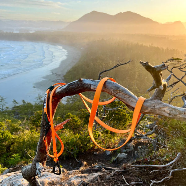 Rocky Mountain Dog Hands-Free Biothane Waterproof Leashes - Swivel Carabiner