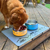 Rocky Mountain Dog Bowl