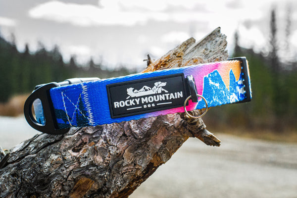 Rocky Mountain Dog Canmore Alpine Dog Collar