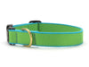 Up Country Color Market Dog Collar - Wide