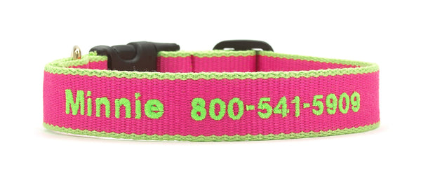 Up Country Color Market Dog Collar - Wide