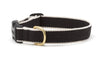 Up Country Color Market Dog Collar - Wide