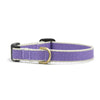 Up Country Color Market Dog Collar - Small Breed