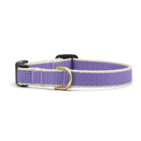 Up Country Color Market Dog Collar - Small Breed