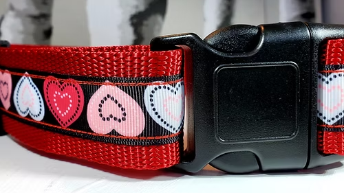 Rocky Mountain Hound 1.5" Wide Heart Dog Collar