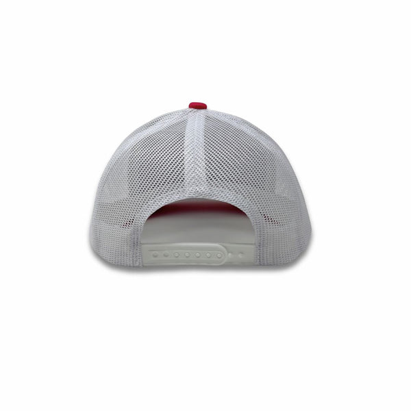 Rocky Mountain Dog Journey Hat