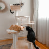 Happy & Polly Transformable Cat Tree
