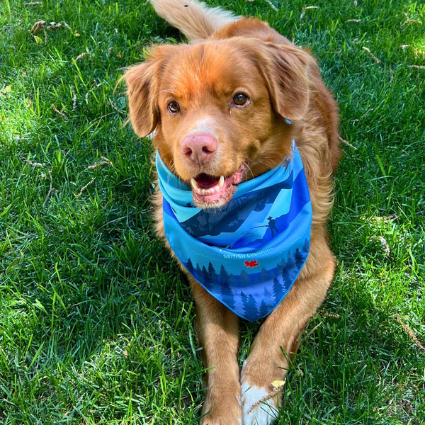 Rocky Mountain Dog Kootenay Bandana