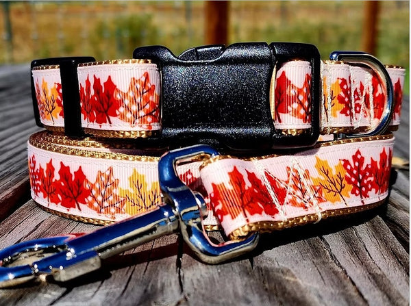 Rocky Mountain Hound Fall Leaves 1" Dog Leash