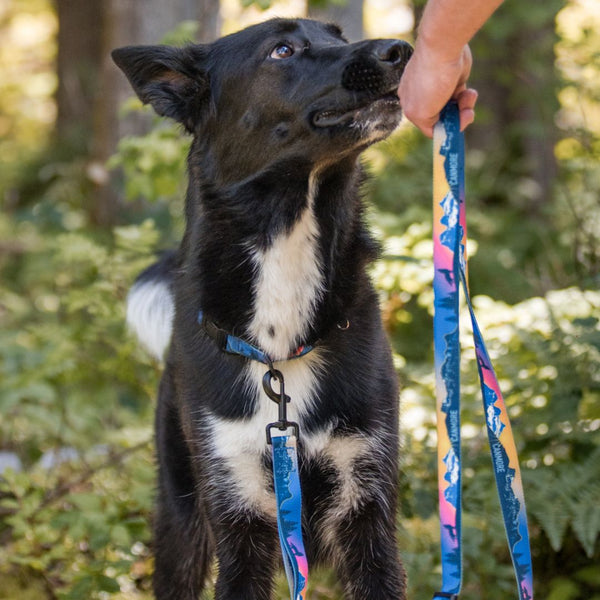 Rocky Mountain Dog V2 Canmore All Mountain Dog Leash