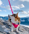 Rocky Mountain Dog Cascade All Mountain Dog Leash