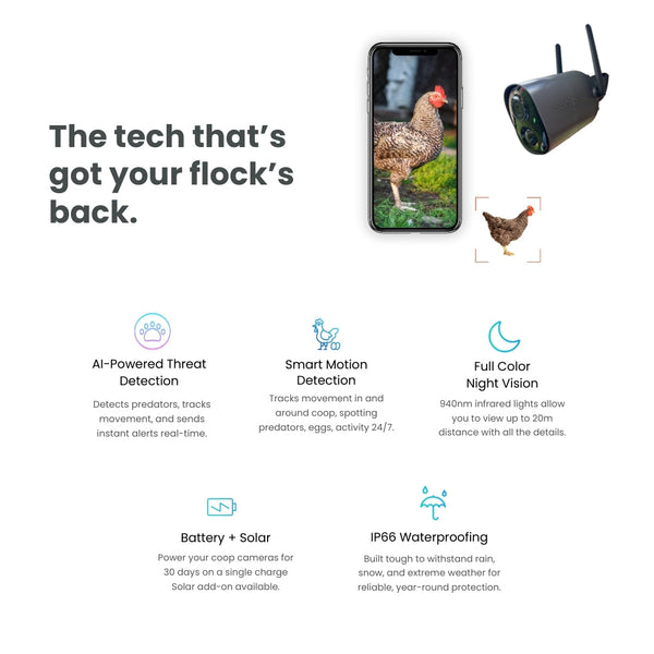 The Smart Coop + Base (+ Free Chicks! 🐣)