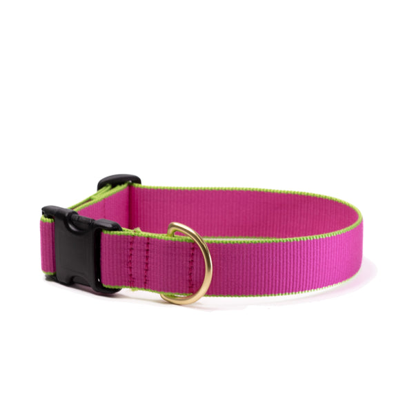 Up Country Color Market Dog Collar - Extra Wide 1.5"