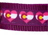 Rocky Mountain Hound 1.5" Colorado Martingale Dog Collar (5 Styles Available)