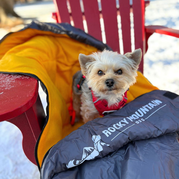 Rocky Mountain Dog Yukon Dog Sleeping Bag