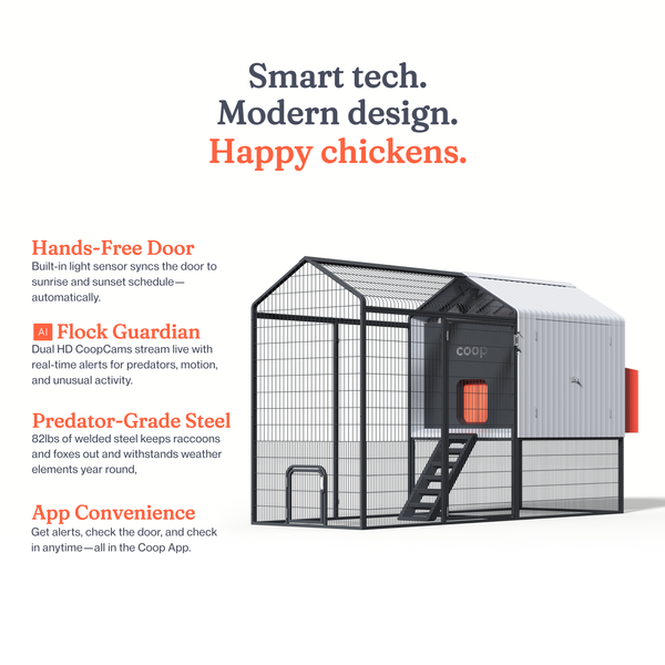 The Smart Coop Unlimited+ (+ Free Chicks! š£)